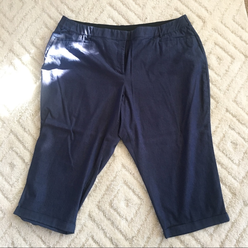 Lane Bryant trouser jeans size 28